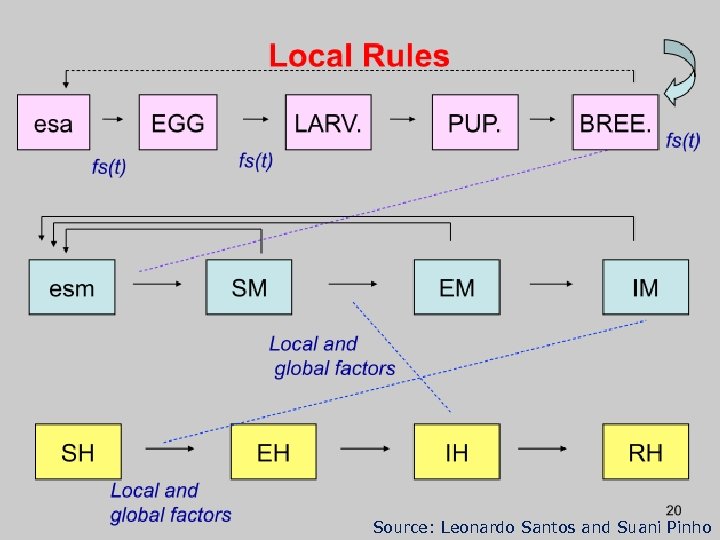 66 Source: Leonardo Santos and Suani Pinho 