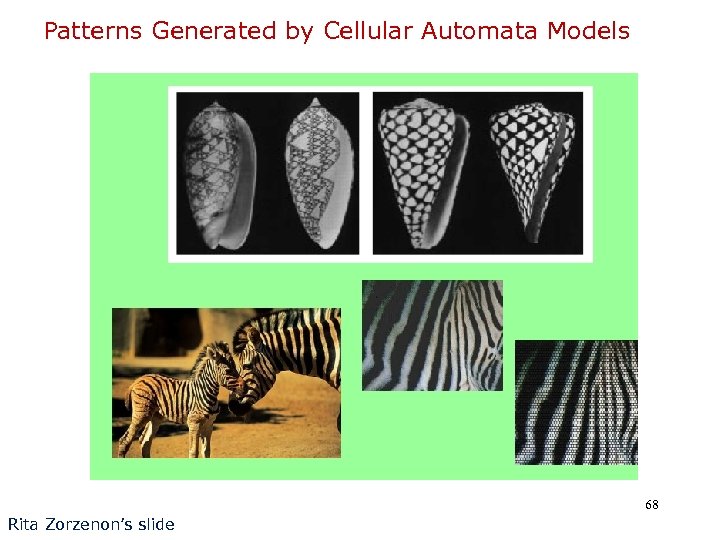 Patterns Generated by Cellular Automata Models 68 Rita Zorzenon’s slide 