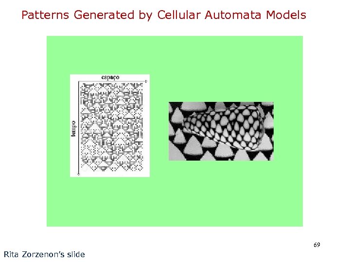 Patterns Generated by Cellular Automata Models 69 Rita Zorzenon’s slide 