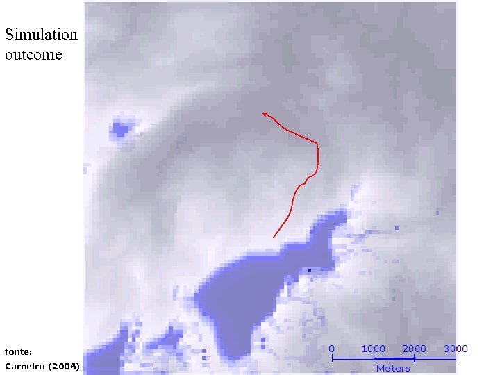 Simulation outcome fonte: Carneiro (2006) 