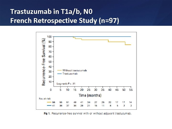 Trastuzumab in T 1 a/b, N 0 French Retrospective Study (n=97) 