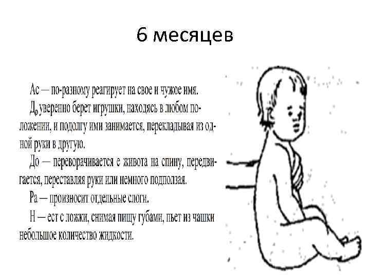 6 месяцев 