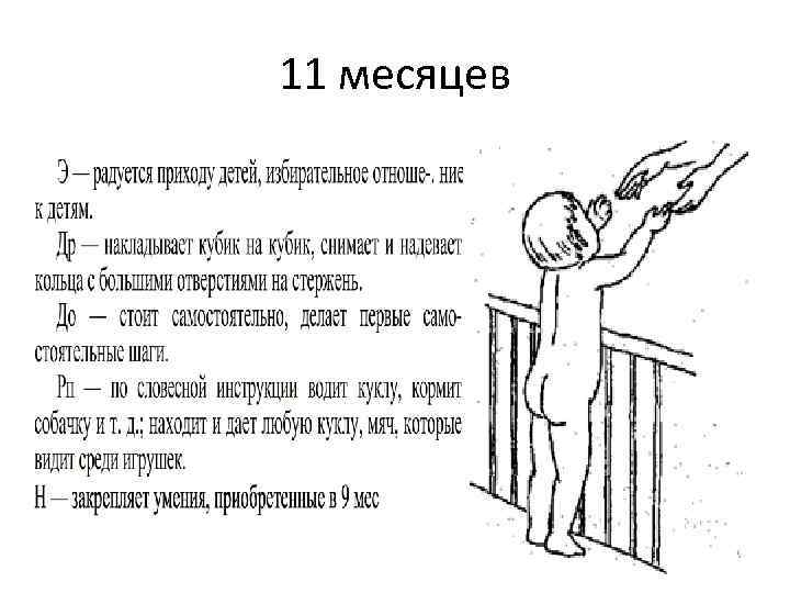 11 месяцев 