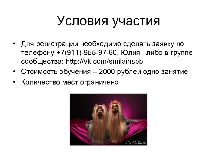 Условия участия • Для регистрации необходимо сделать заявку по телефону +7(911)-955 -97 -60, Юлия,