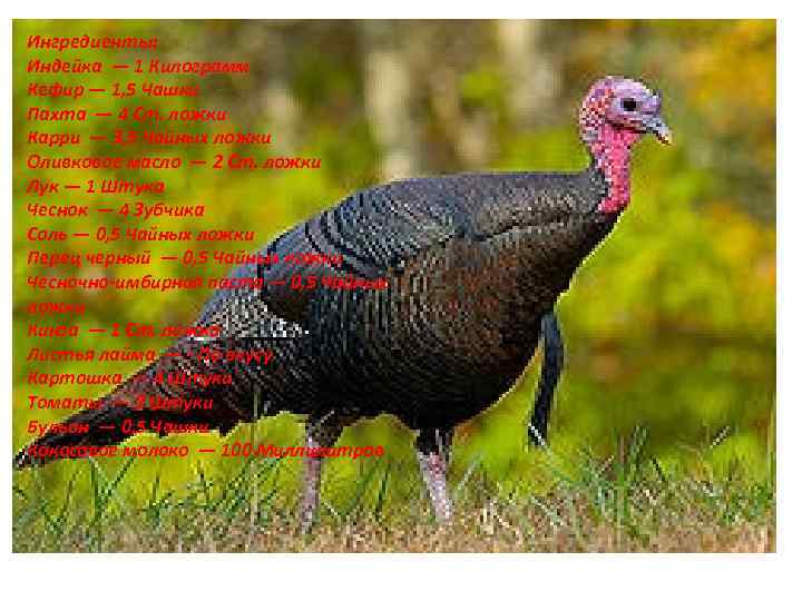 Ингредиенты: Индейка — 1 Килограмм Кефир — 1, 5 Чашки Пахта — 4 Ст.