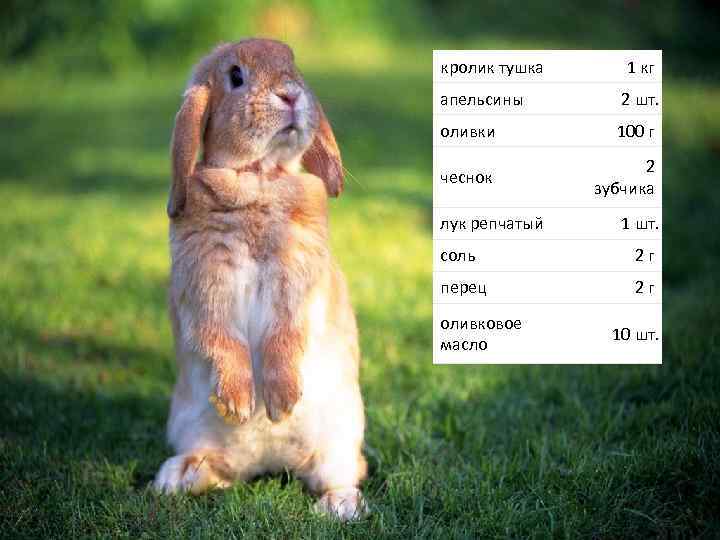 кролик тушка 1 кг апельсины 2 шт. оливки 100 г чеснок 2 зубчика лук