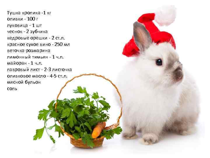 Тушка кролика -1 кг оливки - 100 г луковица - 1 шт чеснок -