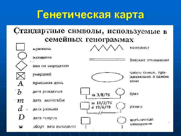 Генетическая карта 
