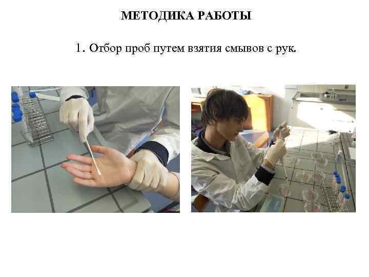 МЕТОДИКА РАБОТЫ 1. Отбор проб путем взятия смывов с рук. 