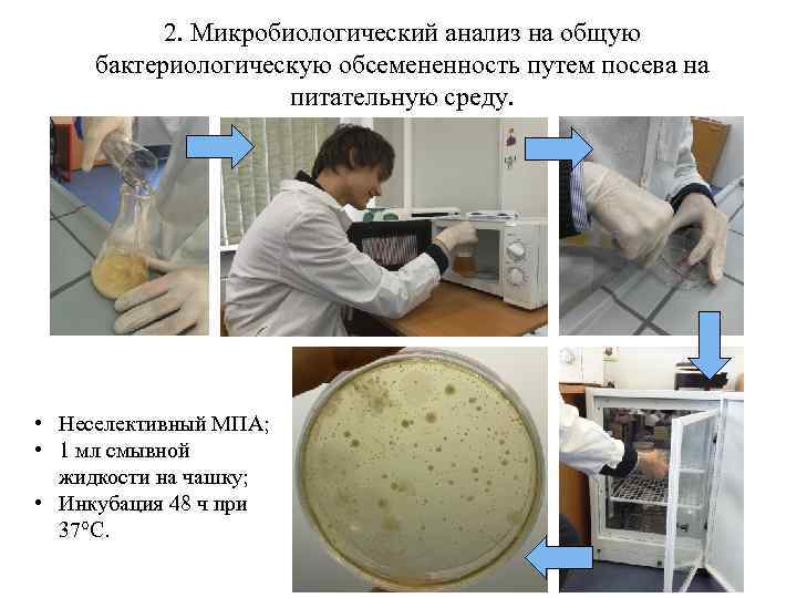2. Микробиологический анализ на общую бактериологическую обсемененность путем посева на питательную среду. • Неселективный