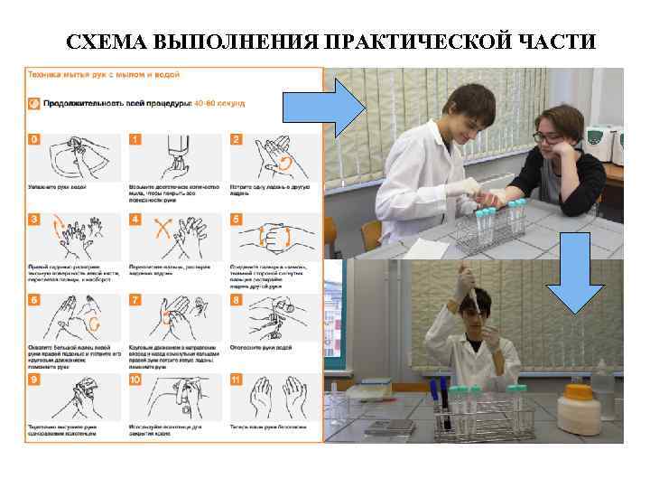 СХЕМА ВЫПОЛНЕНИЯ ПРАКТИЧЕСКОЙ ЧАСТИ 