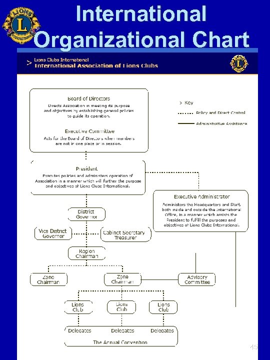 International Organizational Chart 45 