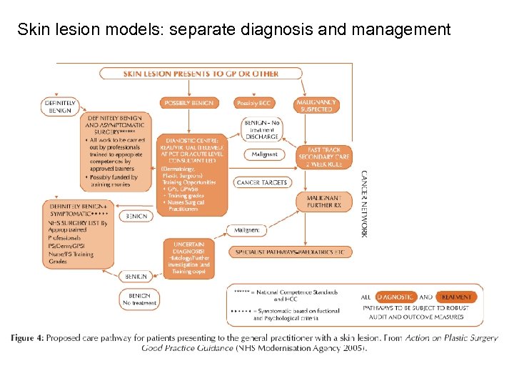 Skin lesion models: separate diagnosis and management 