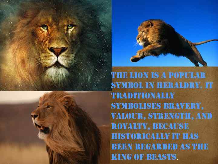 the lion is a popular symbol in heraldry. it traditionally symbolises bravery, valour, strength,