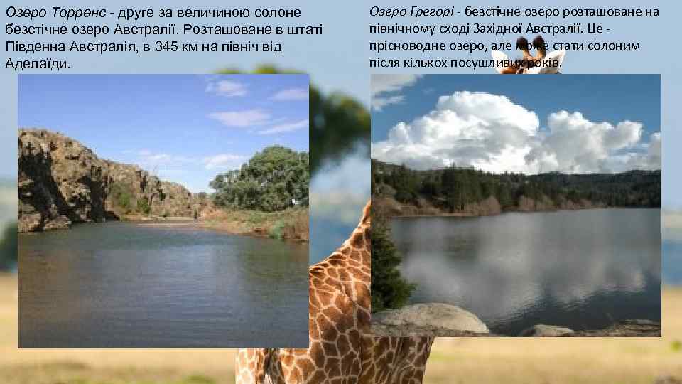 Озеро Торренс - друге за величиною солоне безстічне озеро Австралії. Розташоване в штаті Південна