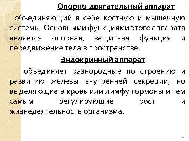 Опорно-двигательный аппарат объединяющий в себе костную и мышечную системы. Основными функциями этого аппарата является