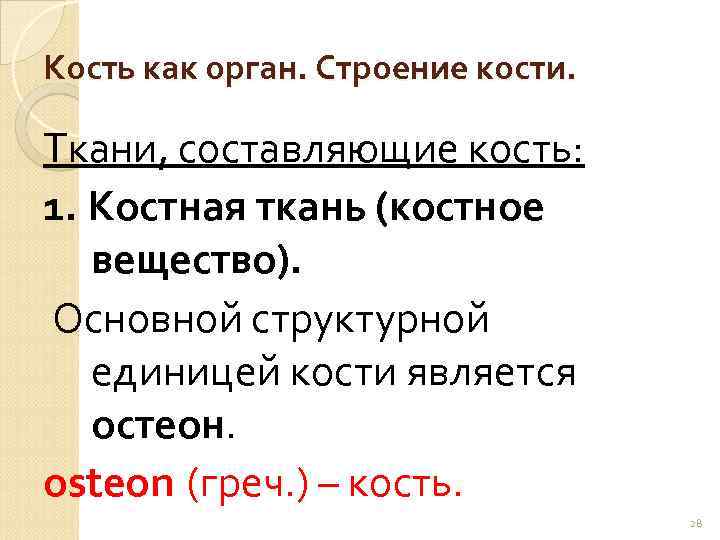 Кость как орган. Строение кости. Ткани, составляющие кость: 1. Костная ткань (костное вещество). Основной