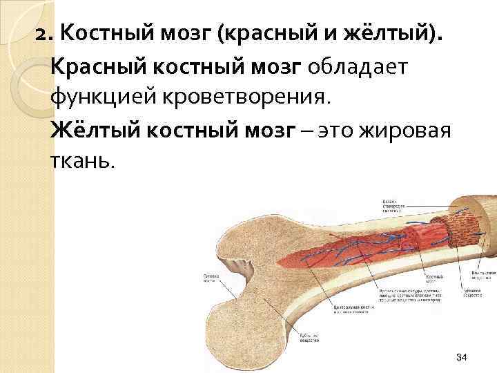 Кристальный костный мозг геншин где найти карта