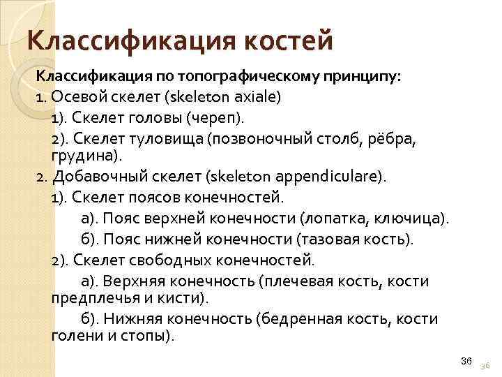 Классификация костей Классификация по топографическому принципу: 1. Осевой скелет (skeleton axiale) 1). Скелет головы