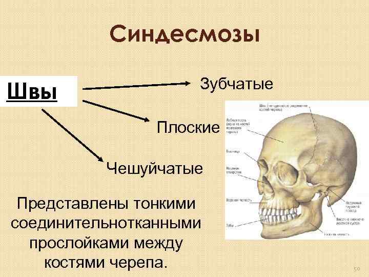 Расстояние между костями