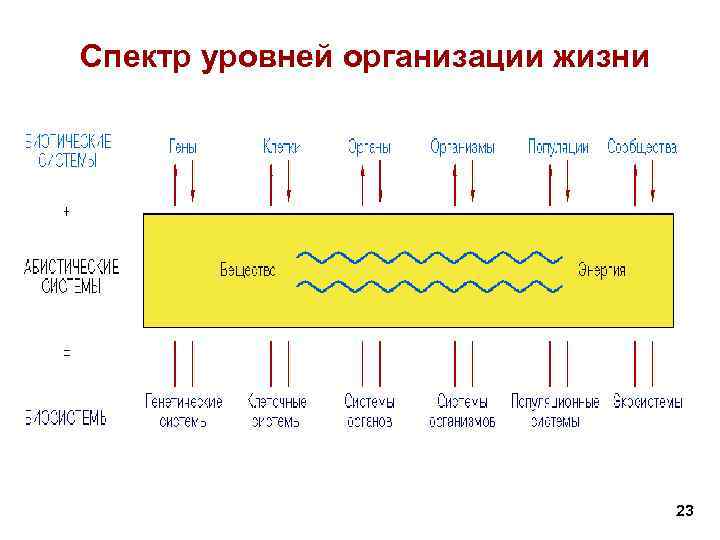 Спектральные уровни