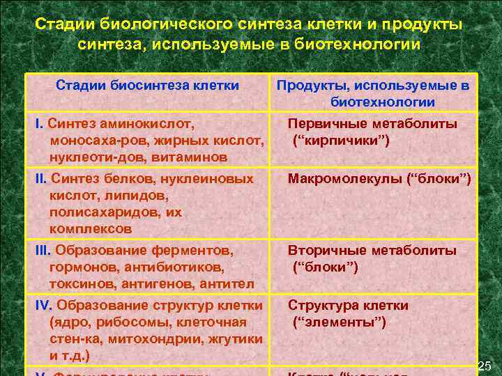 Составь схему стадии движения продукта используя конкретный один продукт