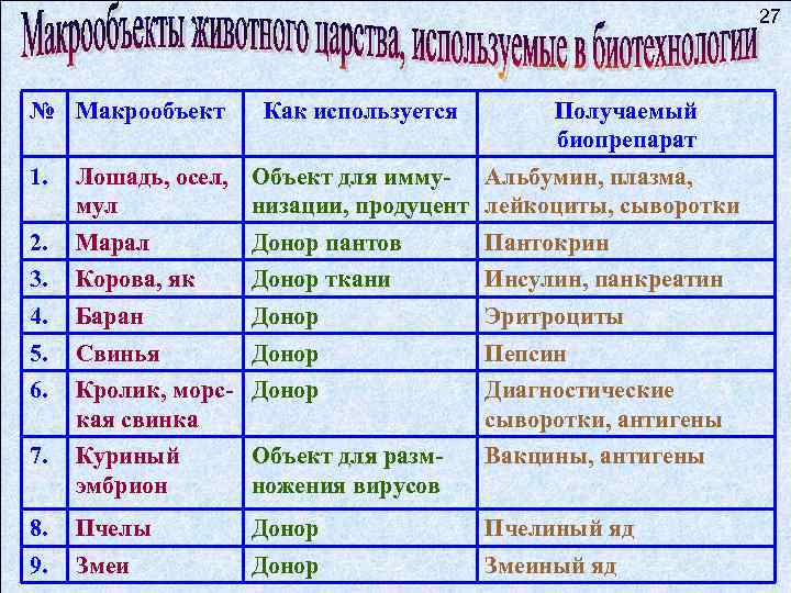 27 № Макрообъект Как используется Получаемый биопрепарат 1. Лошадь, осел, Объект для имму- Альбумин,