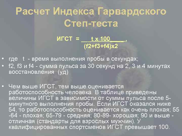 Тест 24 степ 3