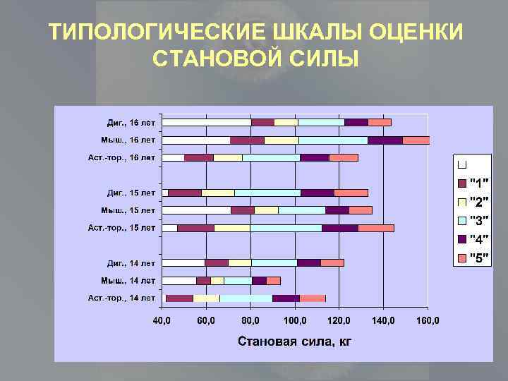 ТИПОЛОГИЧЕСКИЕ ШКАЛЫ ОЦЕНКИ СТАНОВОЙ СИЛЫ 