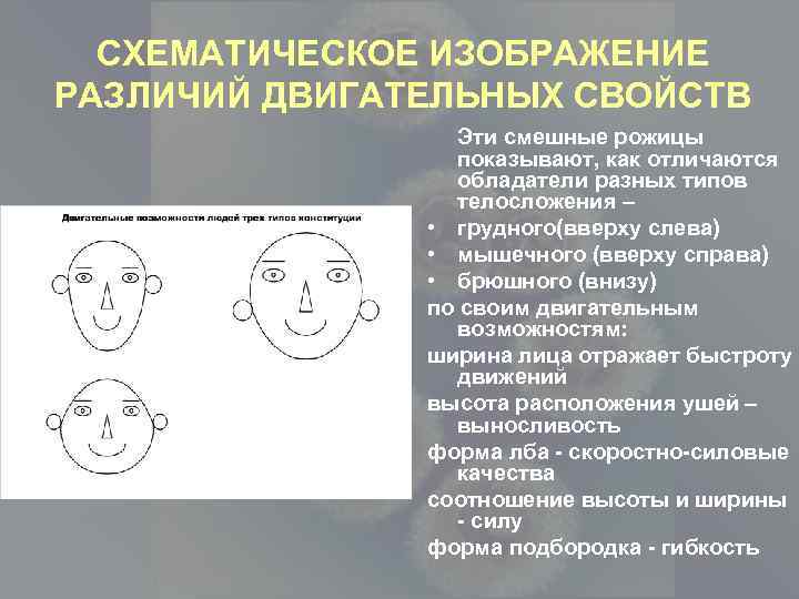 СХЕМАТИЧЕСКОЕ ИЗОБРАЖЕНИЕ РАЗЛИЧИЙ ДВИГАТЕЛЬНЫХ СВОЙСТВ Эти смешные рожицы показывают, как отличаются обладатели разных типов