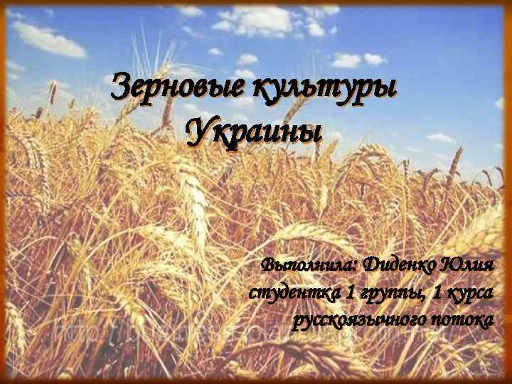 Зерновые культуры Украины Выполнила: Диденко Юлия студентка 1 группы, 1 курса русскоязычного потока 