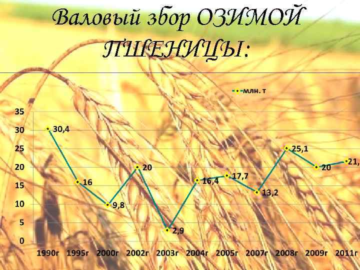 Валовый збор ОЗИМОЙ ПШЕНИЦЫ: 