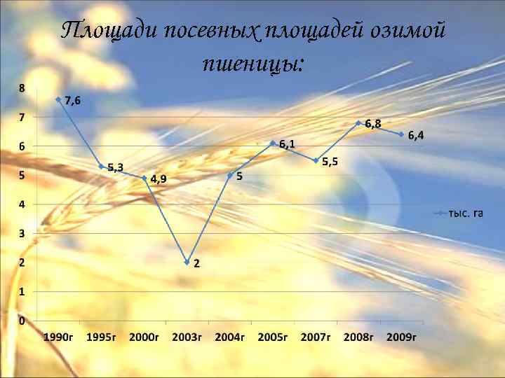 Площади посевных площадей озимой пшеницы: 