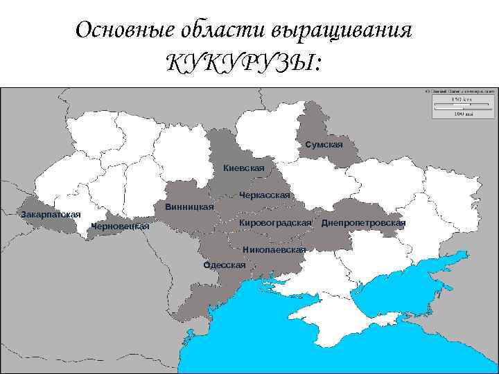 Основные области выращивания КУКУРУЗЫ: Сумская Киевская Черкасская Винницкая Закарпатская Черновецкая Кировоградская Николаевская Одесская Днепропетровская