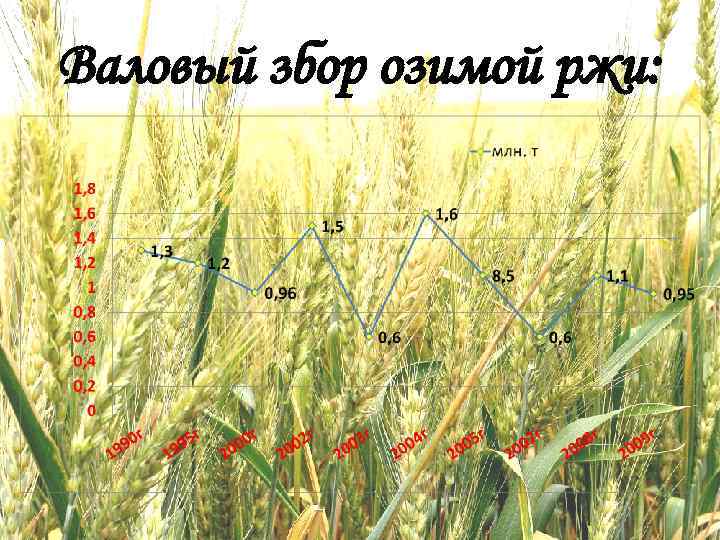 Валовый збор озимой ржи: 