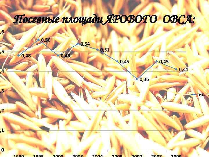Посевные площади ЯРОВОГО ОВСА: 