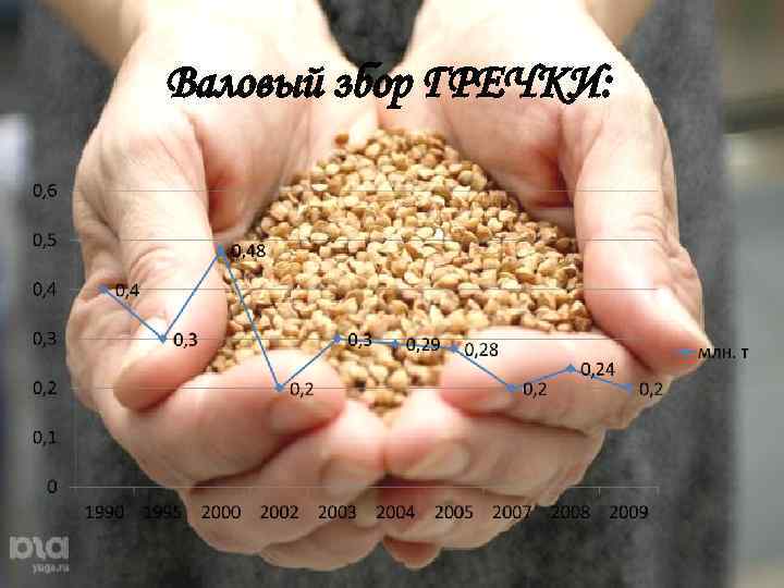 Валовый збор ГРЕЧКИ: 