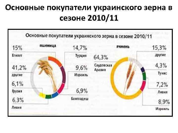 Основные покупатели украинского зерна в сезоне 2010/11 