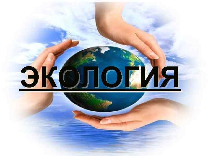 ЭКОЛОГИЯ 