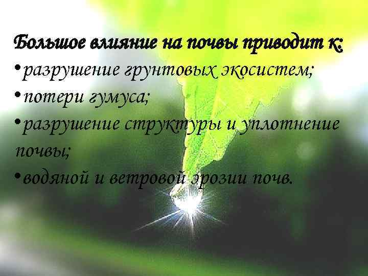 Большое влияние на почвы приводит к: • разрушение грунтовых экосистем; • потери гумуса; •