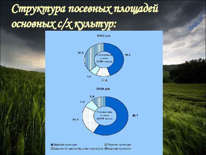 Структура посевных площадей основных с/х культур: 