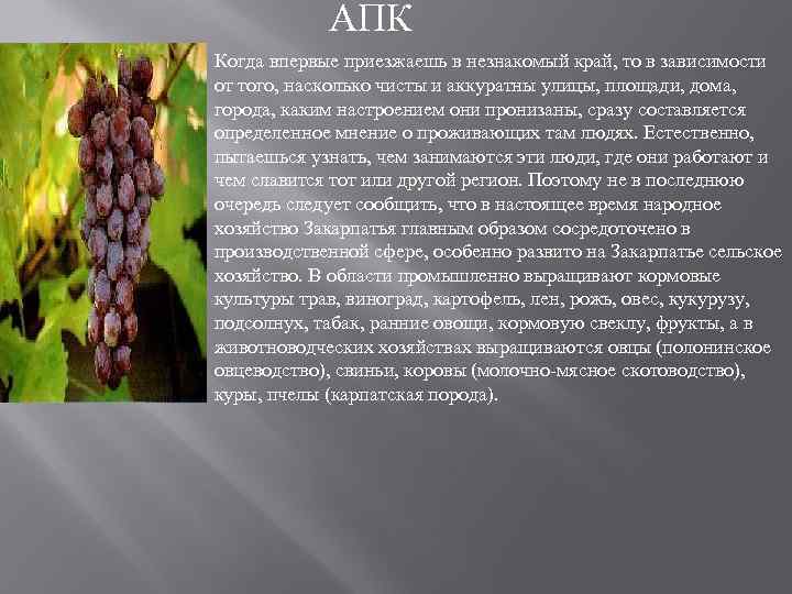 АПК Когда впервые приезжаешь в незнакомый край, то в зависимости от того, насколько чисты