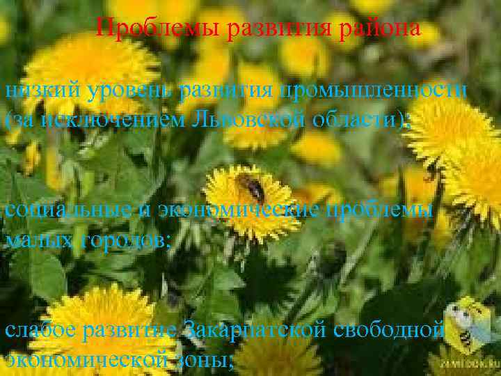  Проблемы развития района низкий уровень развития промышленности (за исключением Львовской области); социальные и