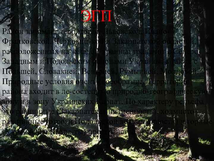 ЭГП Район занимает территории Львовской, Ивано Франковской, Черновиц кой и Закарпатской областей, расположенных на