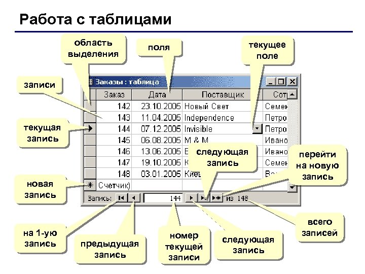Работа с таблицами область выделения текущее поля записи текущая запись следующая запись новая запись