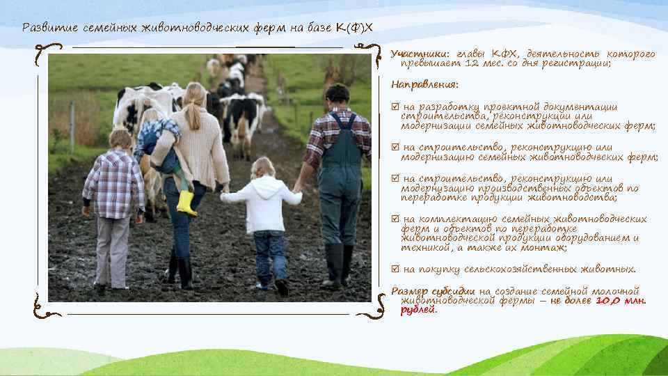 Развитие семейных животноводческих ферм на базе К(Ф)Х Участники: главы КФХ, деятельность которого превышает 12