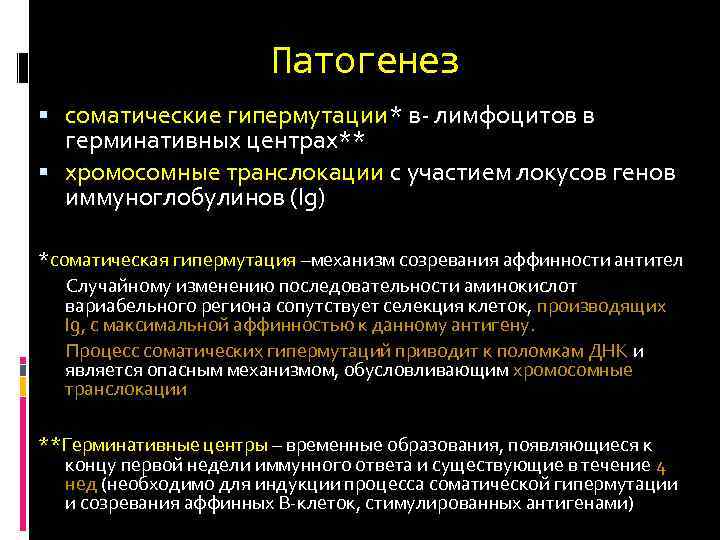 Патогенез соматические гипермутации* в лимфоцитов в герминативных центрах** хромосомные транслокации с участием локусов генов