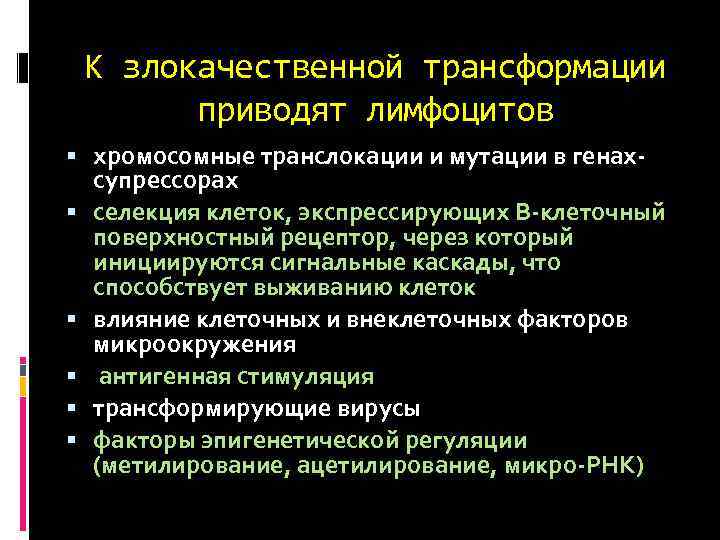 К злокачественной трансформации приводят лимфоцитов хромосомные транслокации и мутации в генахсупрессорах селекция клеток, экспрессирующих