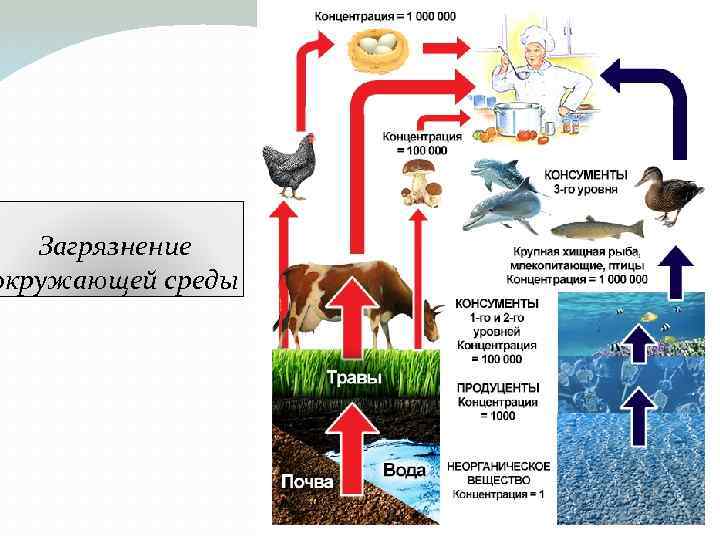 Загрязнение окружающей среды 