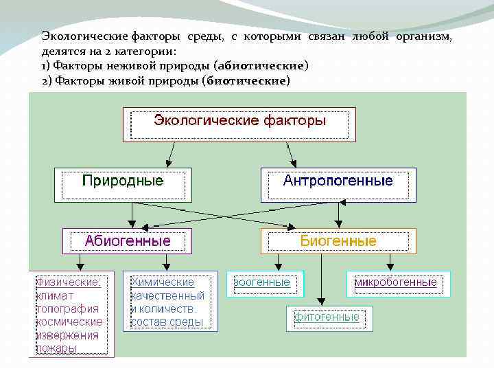 Экологические факторы среды, с которыми связан любой организм, делятся на 2 категории: 1) Факторы